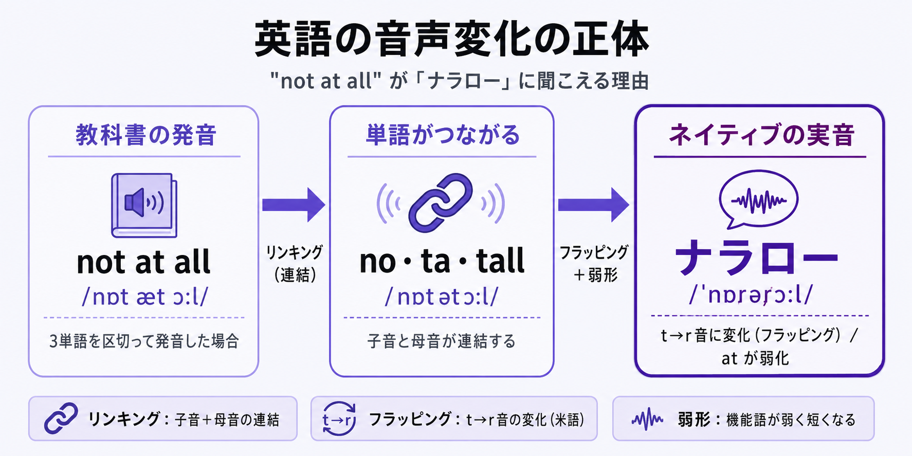 img diagram 07