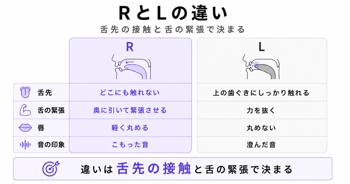 RとLを4項目で左右比較する表。舌先（Rはどこにも触れない／Lは上の歯ぐきにしっかり触れる）、舌の緊張（Rは奥に引いて緊張させる／Lは力を抜く）、唇（Rは軽く丸める／Lは丸めない）、音の印象（Rはこもった音／Lは澄んだ音）。結論「違いは舌先の接触と舌の緊張で決まる」