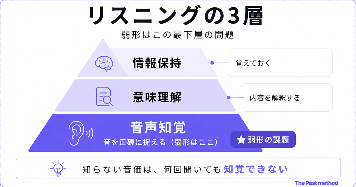 「リスニングの3層」を示すピラミッド図。最下段(濃い紫で強調)「音声知覚」音を正確に捉える(弱形はここ)にバッジ「弱形の課題」、中段「意味理解」内容を解釈する、最上段「情報保持」覚えておく。下部に「知らない音価は、何回聞いても知覚できない」の結論バー