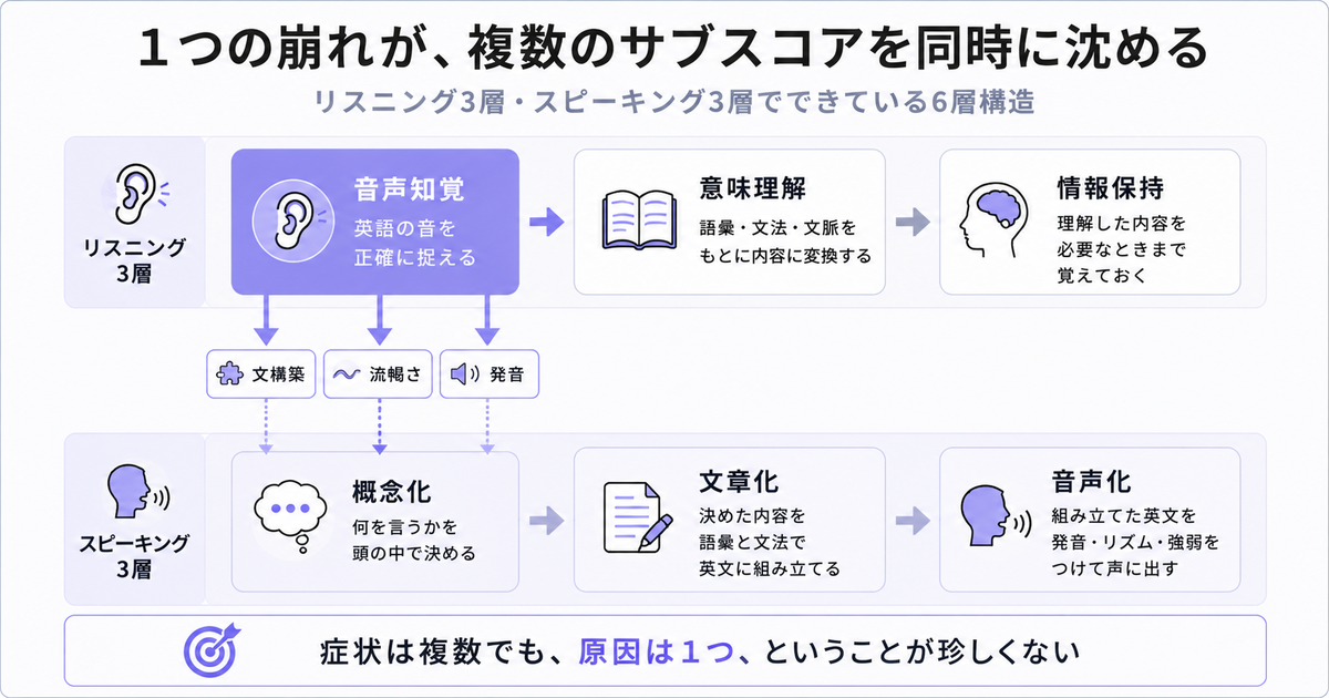 リスニング3層・スピーキング3層でできている6層構造の図。上段リスニング3層「音声知覚(英語の音を正確に捉える、強調)」→「意味理解(語彙・文法・文脈をもとに内容に変換する)」→「情報保持(理解した内容を必要なときまで覚えておく)」、下段スピーキング3層「概念化(何を言うかを頭の中で決める)」→「文章化(決めた内容を語彙と文法で英文に組み立てる)」→「音声化(組み立てた英文を発音・リズム・強弱をつけて声に出す)」。音声知覚から文構築・流暢さ・発音の3つのサブスコアへ矢印。下部に結論「症状は複数でも、原因は1つ、ということが珍しくない」