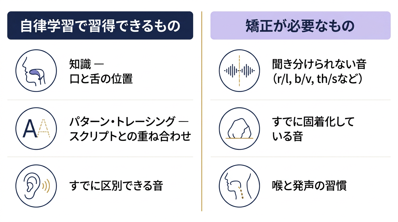 img diagram 02