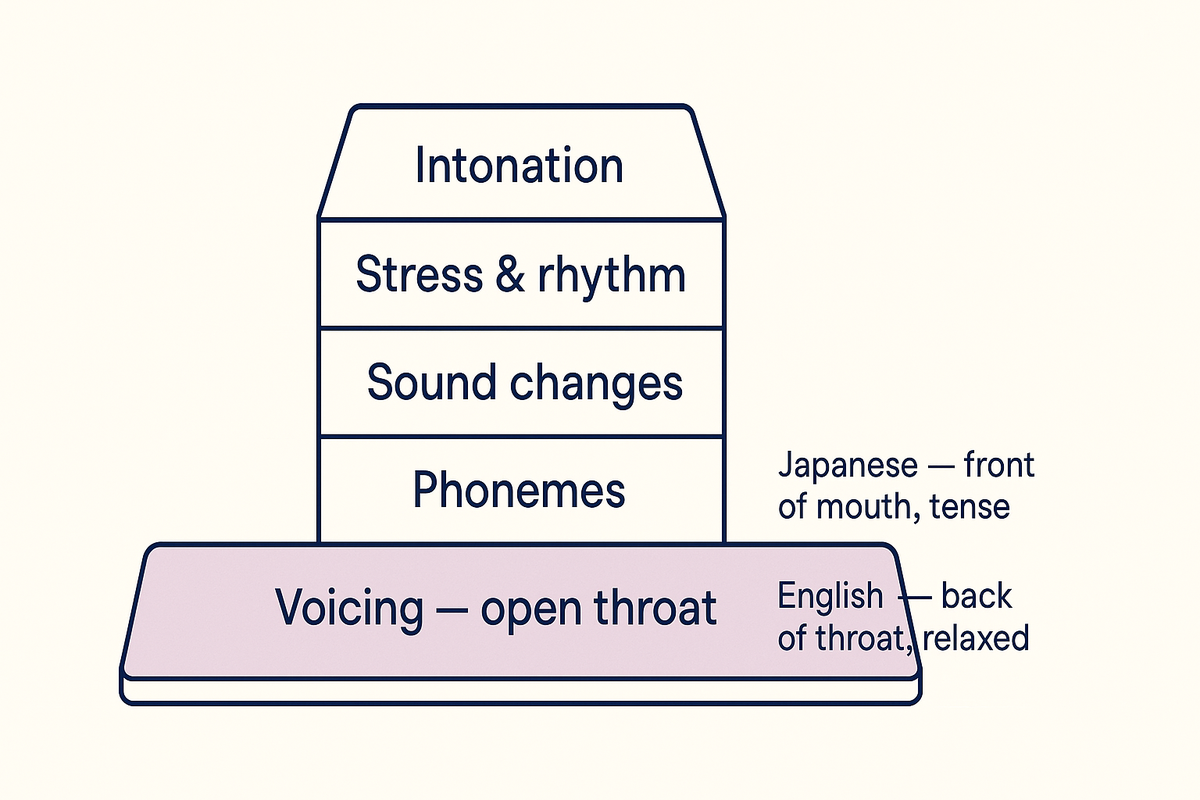 発音の4つの層すべてを、喉を開いた英語の発声が土台として支えていることを示す図