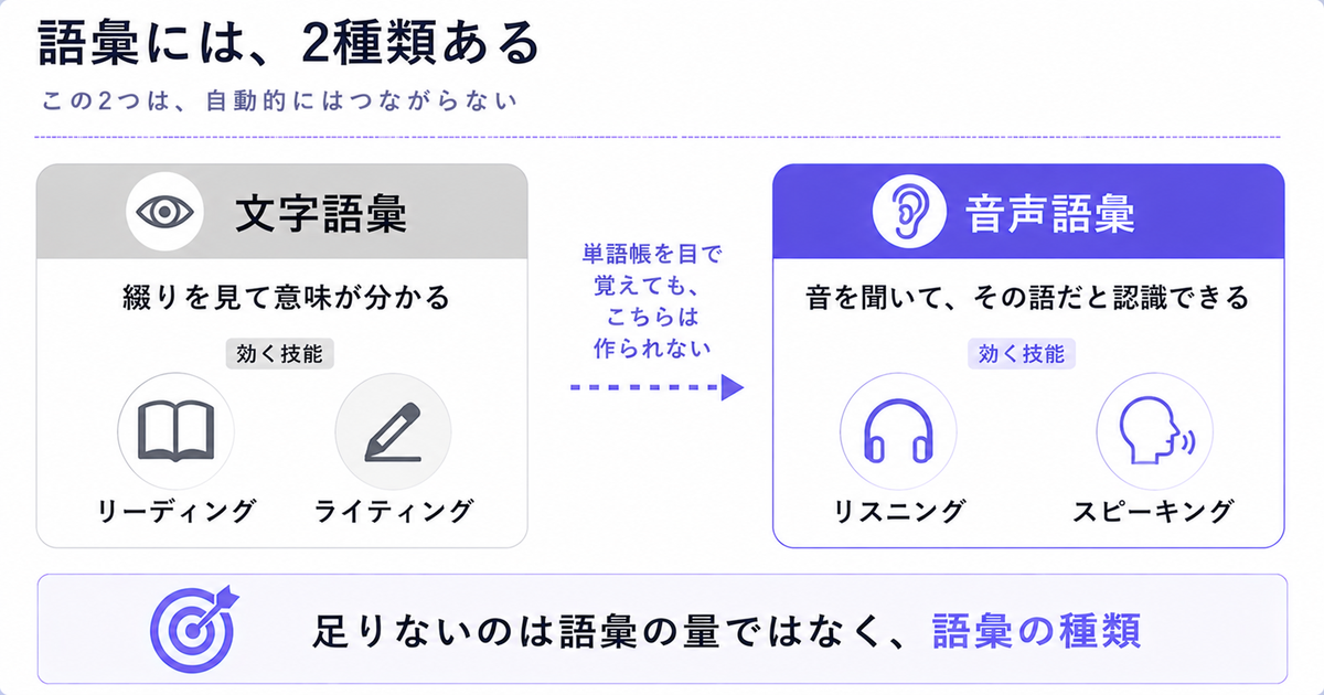 文字語彙と音声語彙が別の知識であることを示す対比図。文字語彙は読み書き、音声語彙は聞く話すに効く