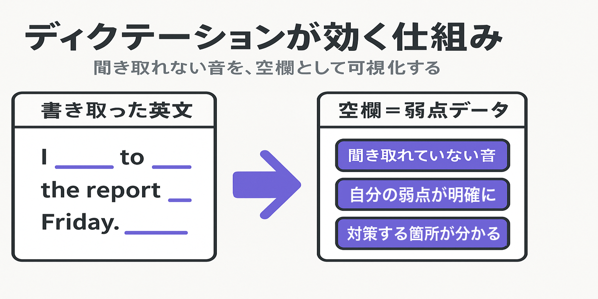 ディクテーションが効く仕組み。書き取った英文に空欄が点在する状態から、空欄そのものが弱点データになる。聞き取れていない音がわかり、自分の弱点が明確になり、対策する箇所が分かる