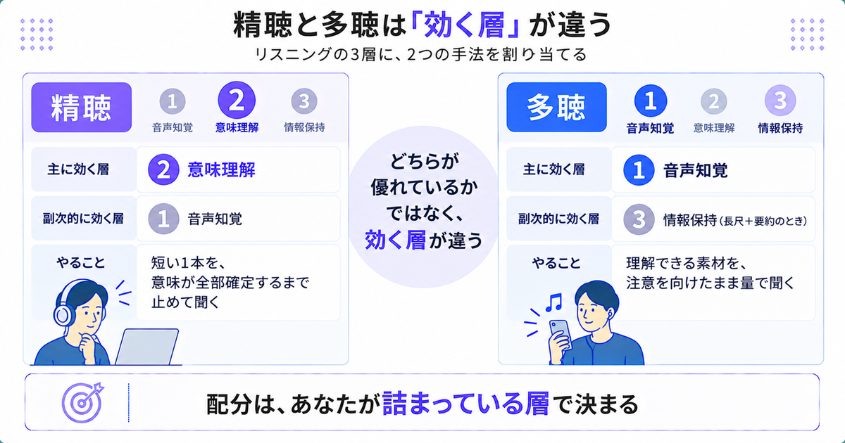 精聴と多聴の効く層を比較した図。精聴は主に②意味理解、副次的に①音声知覚。多聴は主に①音声知覚、副次的に③情報保持。結論は「配分は、あなたが詰まっている層で決まる」
